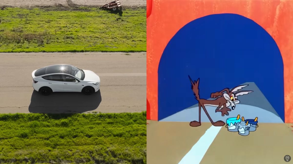 Tesla Looney Tunes test fail.